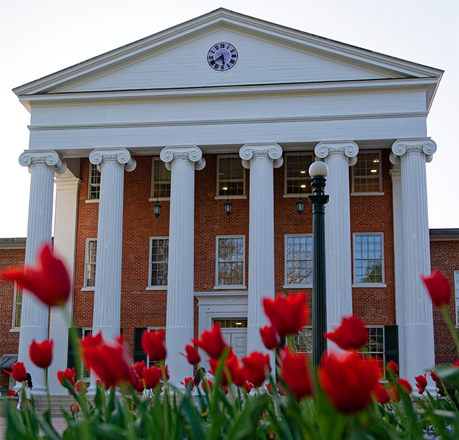 The Ole Miss Lyceum Building with Red Tulips