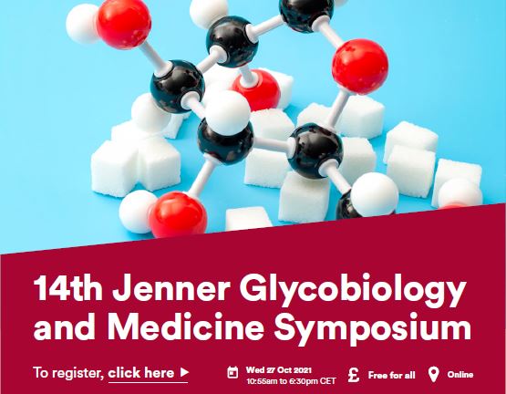 Image for 14th Jenner Glycobiology and Medicine Symposium
