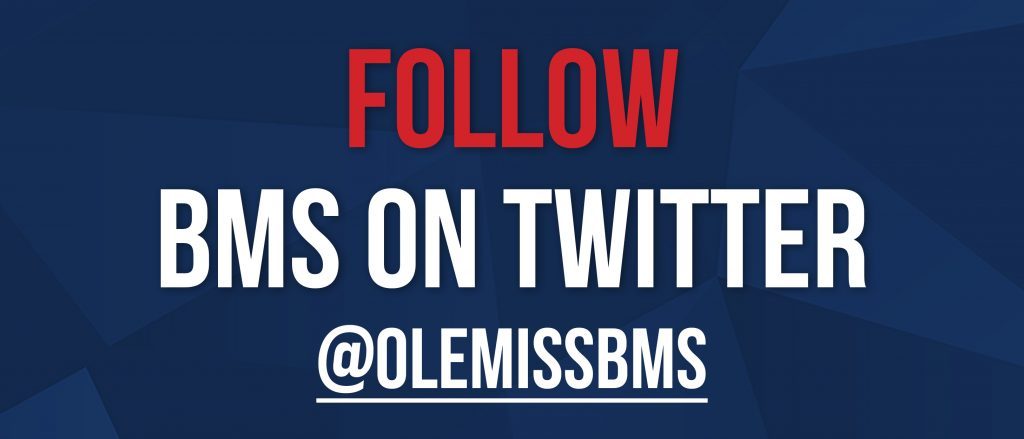 BMS Twitter Button