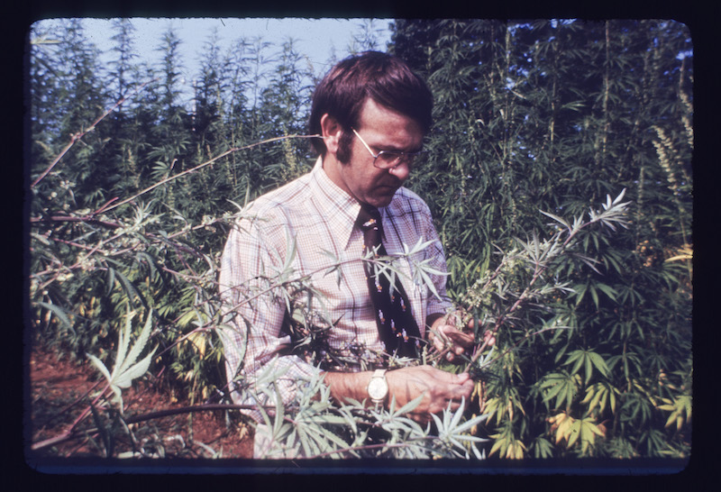 Dr. Carlton E. Turner, of the University of Mississippi School of Pharmacy's Marijuana Project