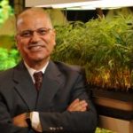 Mahmoud ElSohly stands next to cannabis plants