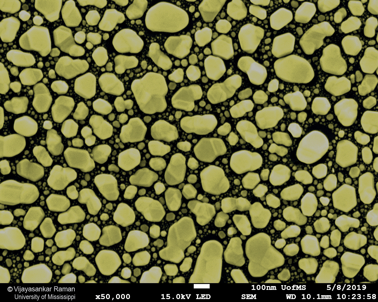 Colorized SEM image of gold nanoparticles on carbon in a JEOL reference sample